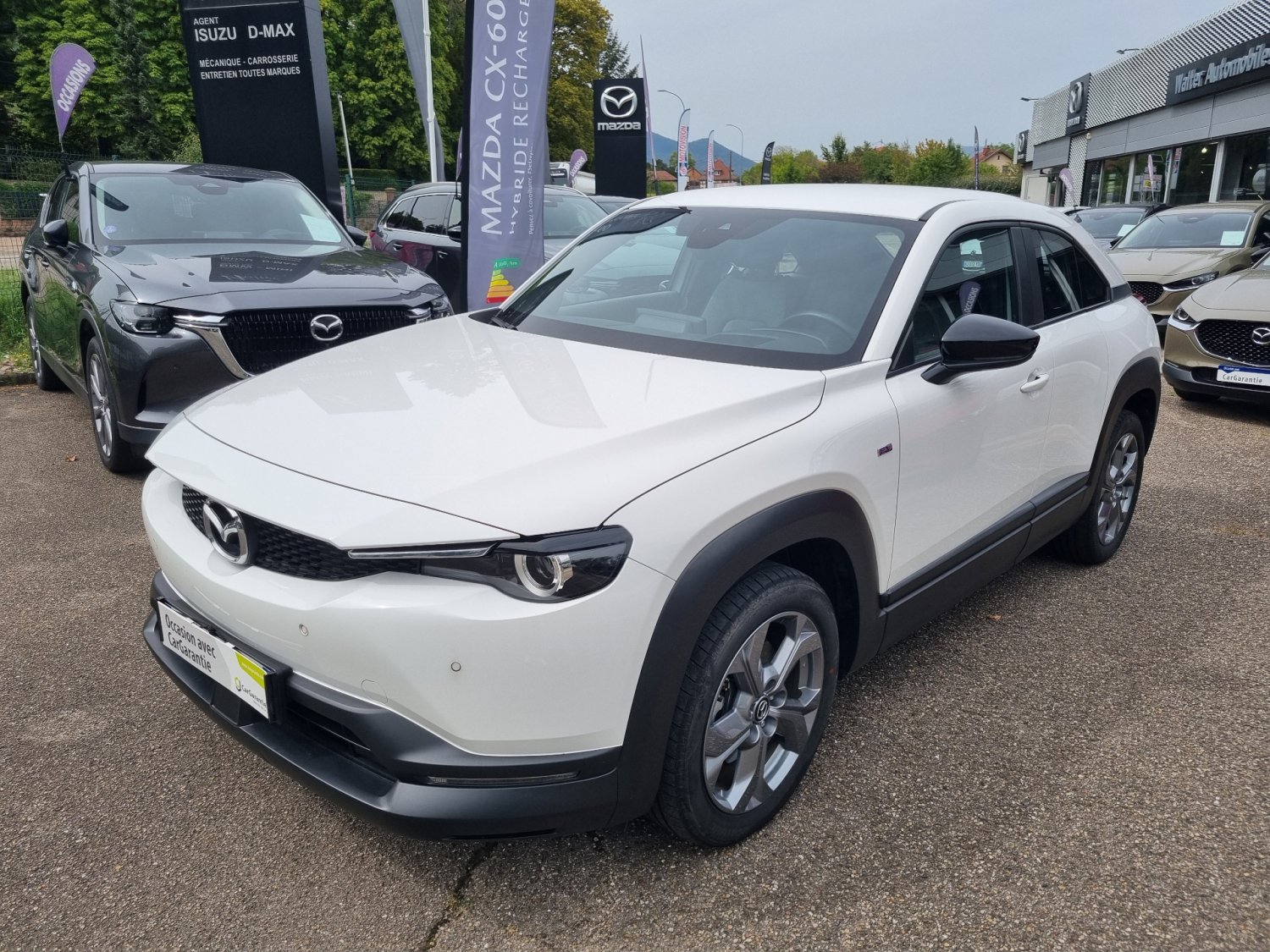 mazda - Visuel 9
