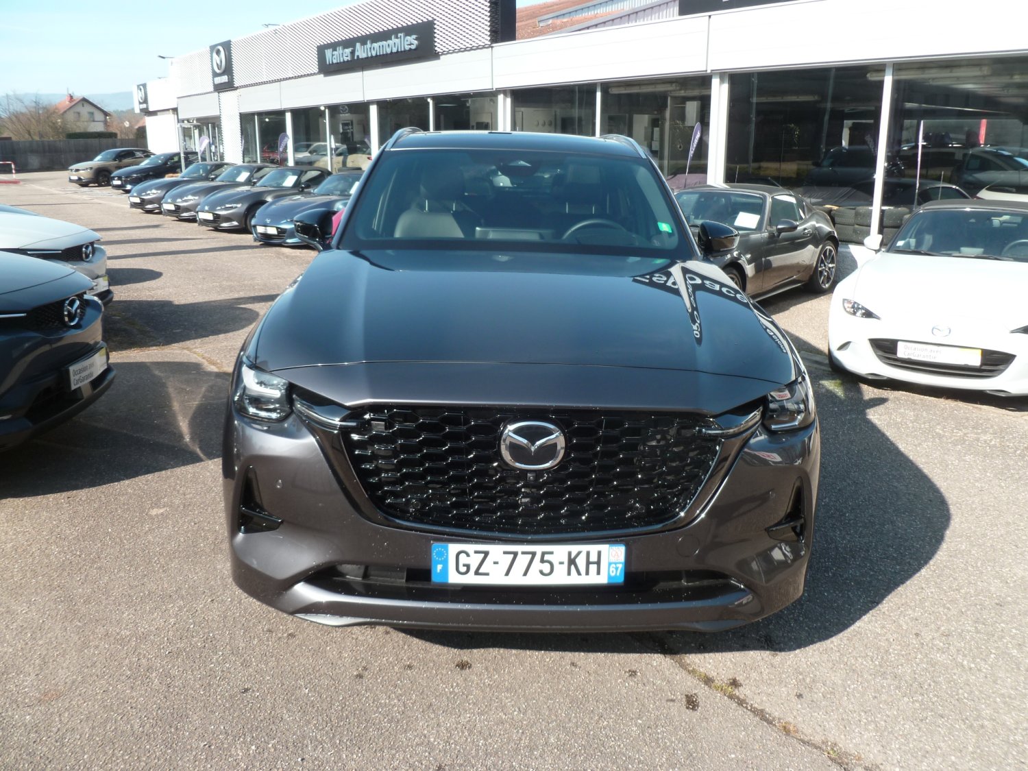 mazda - Visuel 12